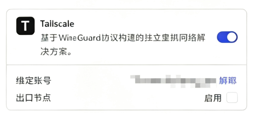 Tailscale 已绑定